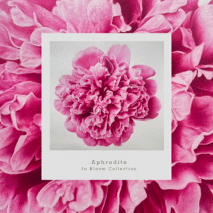 Aphrodite - Print